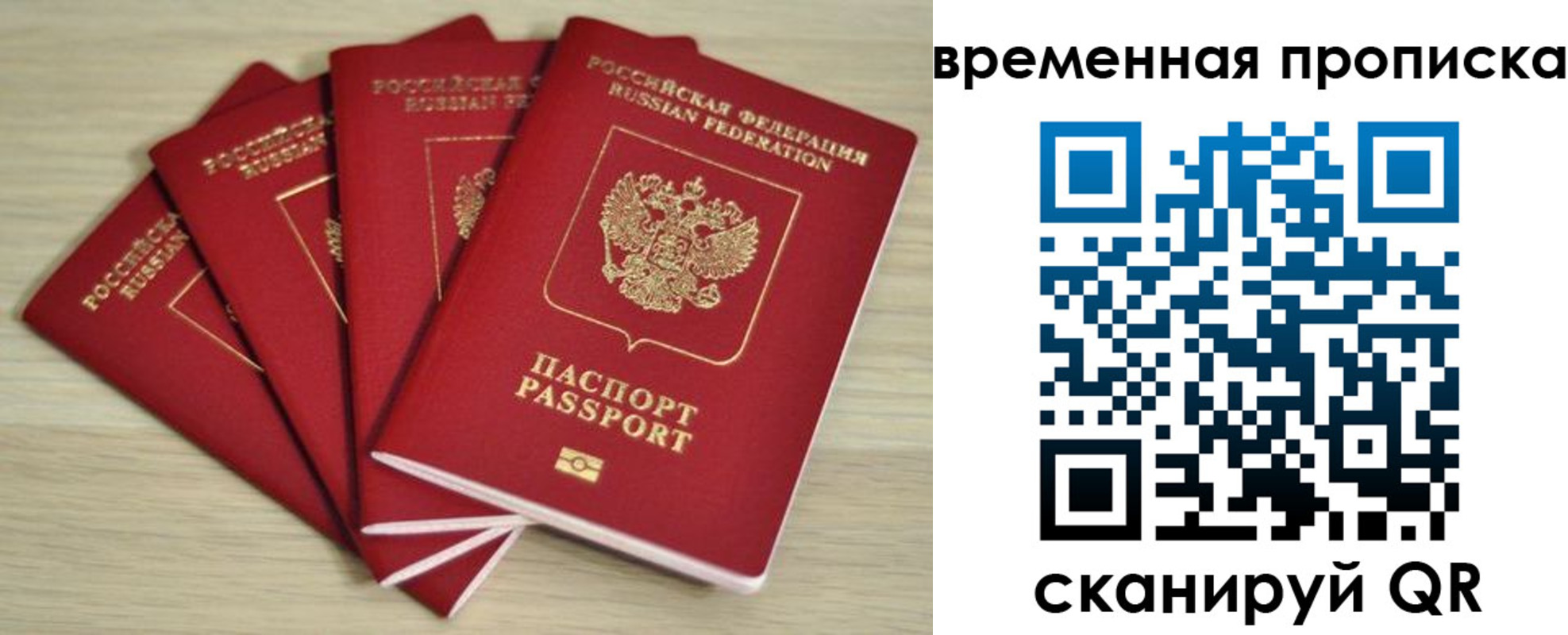 прописка для школы в Сальске