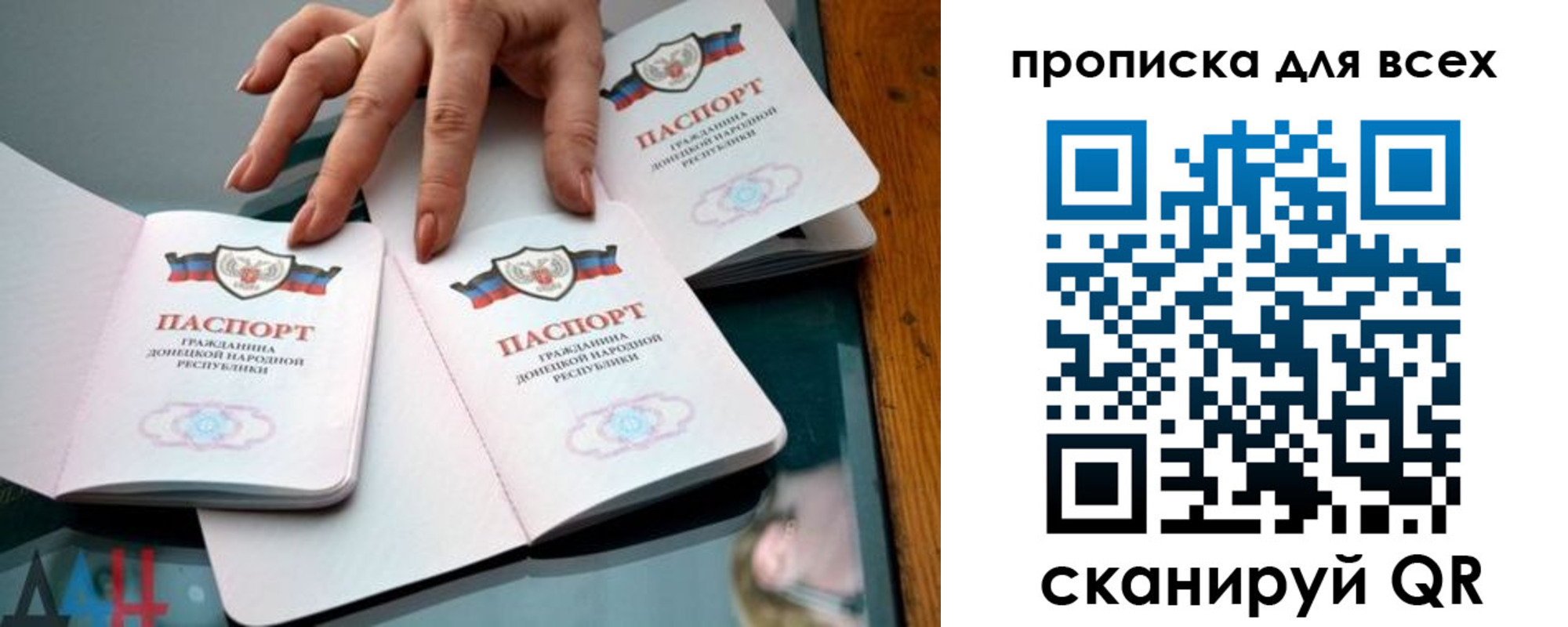 прописка гарантия в Сальске